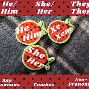 Ladybug pronoun pin - He/Him, She/Her, They/Them, Custom pronouns insect pin
