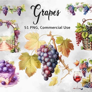 Clipart di 51 uve, PNG di alta qualità, Arte botanica, ClipArt di vino d'uva, Download digitale, Creazione di cartoline, Journaling, Mestiere di carta digitale