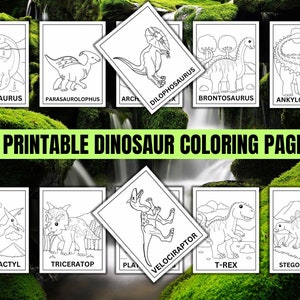 12 Digital Dinosaur coloring pages ,Dinosaur Printable,Dinosaur Activities, Dinosaur Party Birthday,Printable Coloring pages, Dinosaur Games