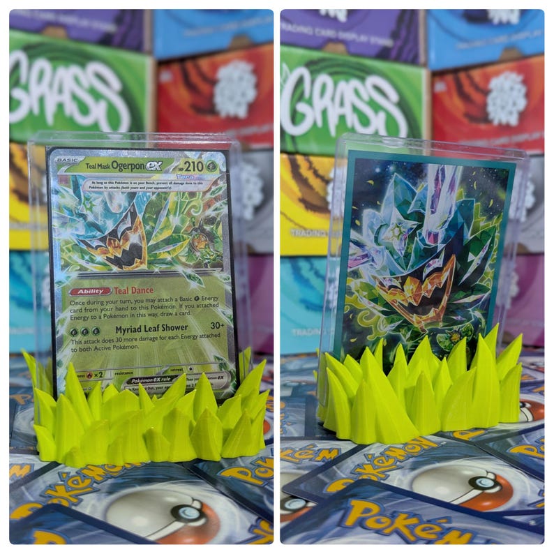 May include: Two Pokemon trading cards are displayed in clear plastic cases on a green grass-like base. The cards are Teal Mask Ogerpon EX and a green and white card with a teal and white creature. The cards are on a table with other Pokemon cards in the background.