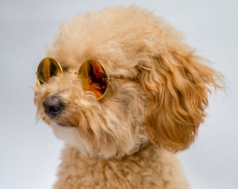 Pet Sunglasses Etsy UK
