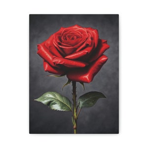 Single Red Rose Matte Canvas, Stretched, 1.25&quot; Wall Art Home Decor