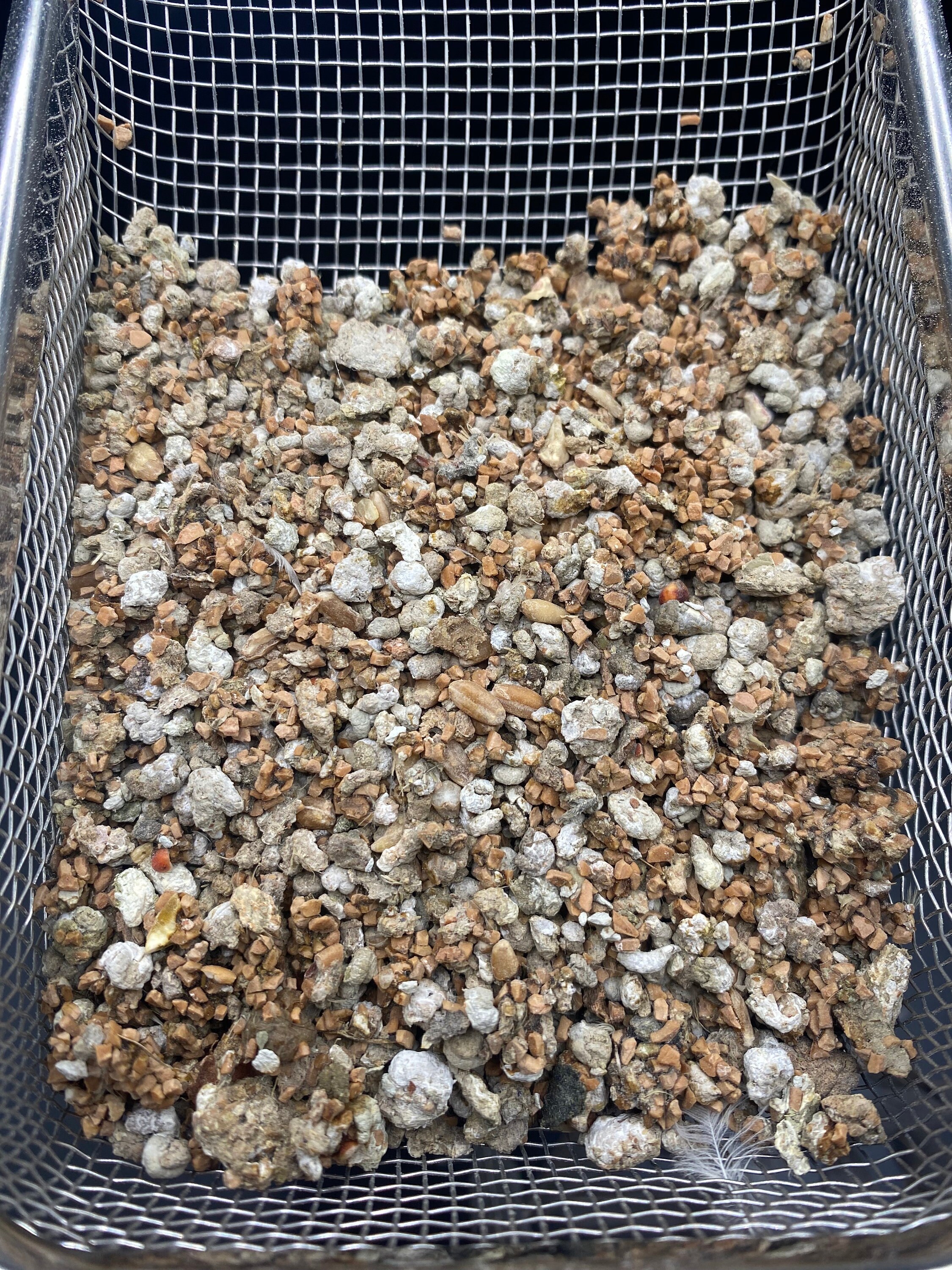 Button Quail Manure Fertilizer / Chicken Manure Fertilizer Covered With