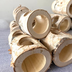 Handmade Nature Wood Log - Available NOW! Only this Summer | Birchwood, snake home, hamster toy, quail nest | No Paint Pet Safe