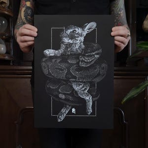 A3 zeefdruk Slang en Konijn - Wurggreep - Christopher Reuter