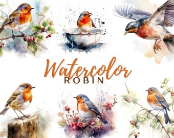 Robin Watercolor Clipart Robin Painting Crafts Robin Art Card Robin Redbreasted Digital Download Card Making Robin Scrapbooking