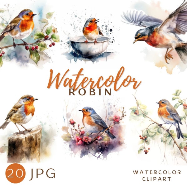 Robin Watercolor Clipart Robin Painting Crafts Robin Art Card Robin Redbreasted Digital Download Card Making Robin Scrapbooking