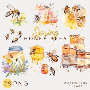 Lente Honey Bee aquarel clipart honingraat Hive illustraties biologische honing kaart maken bijenteelt clipart ambachtelijke bijenkorf digitale download