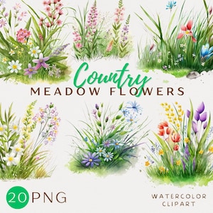 Prado Flores Aquarela Clipart Artesanato Floral Grama Digital Download Cartão Fazendo Flor Verde Campos Coloridos Digitais Scrapbooking