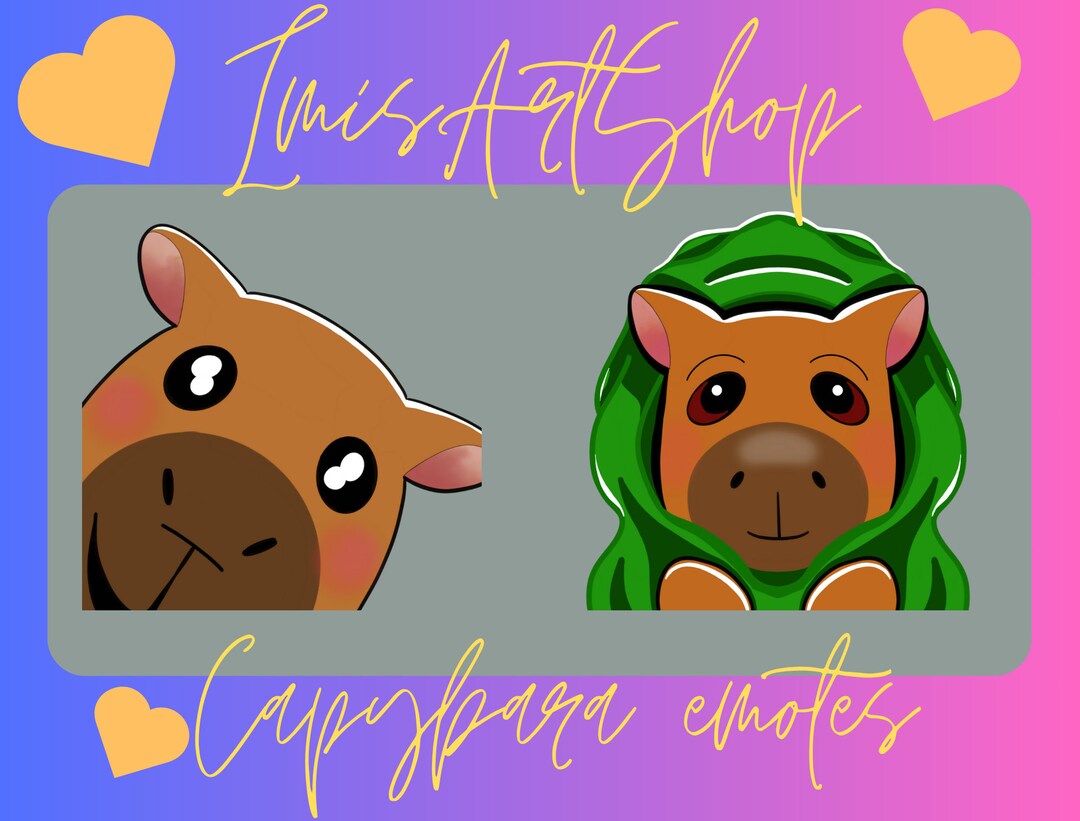 Capibara twitch emote linda manta - Etsy México