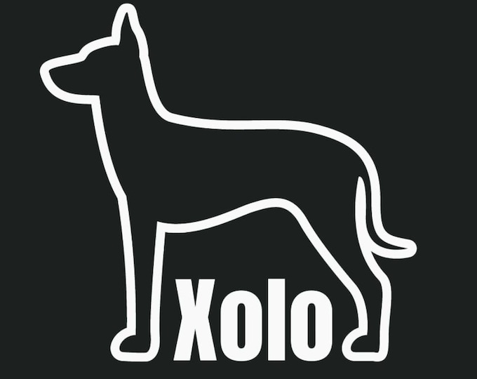 Xolo Dog Car Decal | Car Sticker | Vinyl Decal | Xolo Car Sticker | Xoloitzcuintli Vinyl Sticker | Bumper Sticker | Xolo Dog | Car Decal