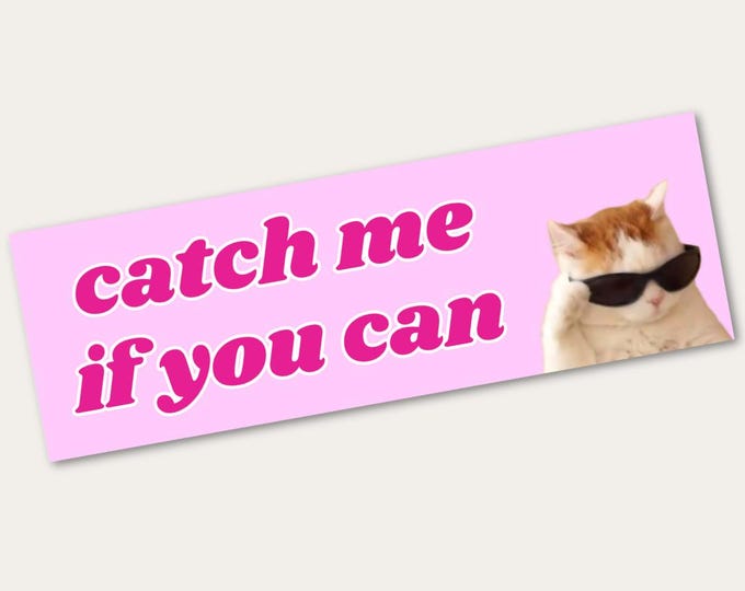 Funny Bumper Sticker | Catch Me If You Can Cat Meme Vinyl Sticker | Funny Car Decal | Decal Sticker | Funny Car Sticker | Car Lover Gift
