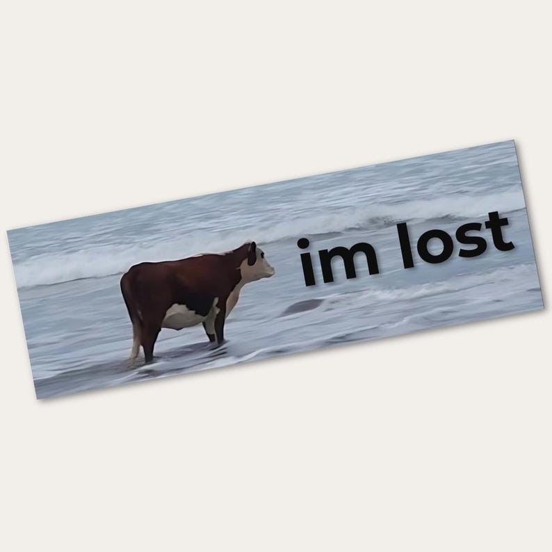 K&ouml;nnte beinhalten: Eine braune und wei&szlig;e Kuh steht in den Wellen des Ozeans an einem Strand. Der Text "im lost" ist in schwarzen Buchstaben auf dem Wasser geschrieben.