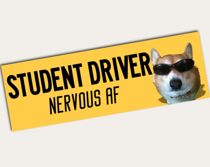 Funny Bumper Stickers | Student Driver Funny Sticker | Different Sizes |Bumper Sticker | Car Decal | Student Driver Nervous AF