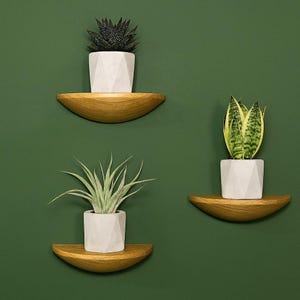 Handcrafted Pine Wood Half-Round Shelf: Mid-Century Modern Floating Wall Decor