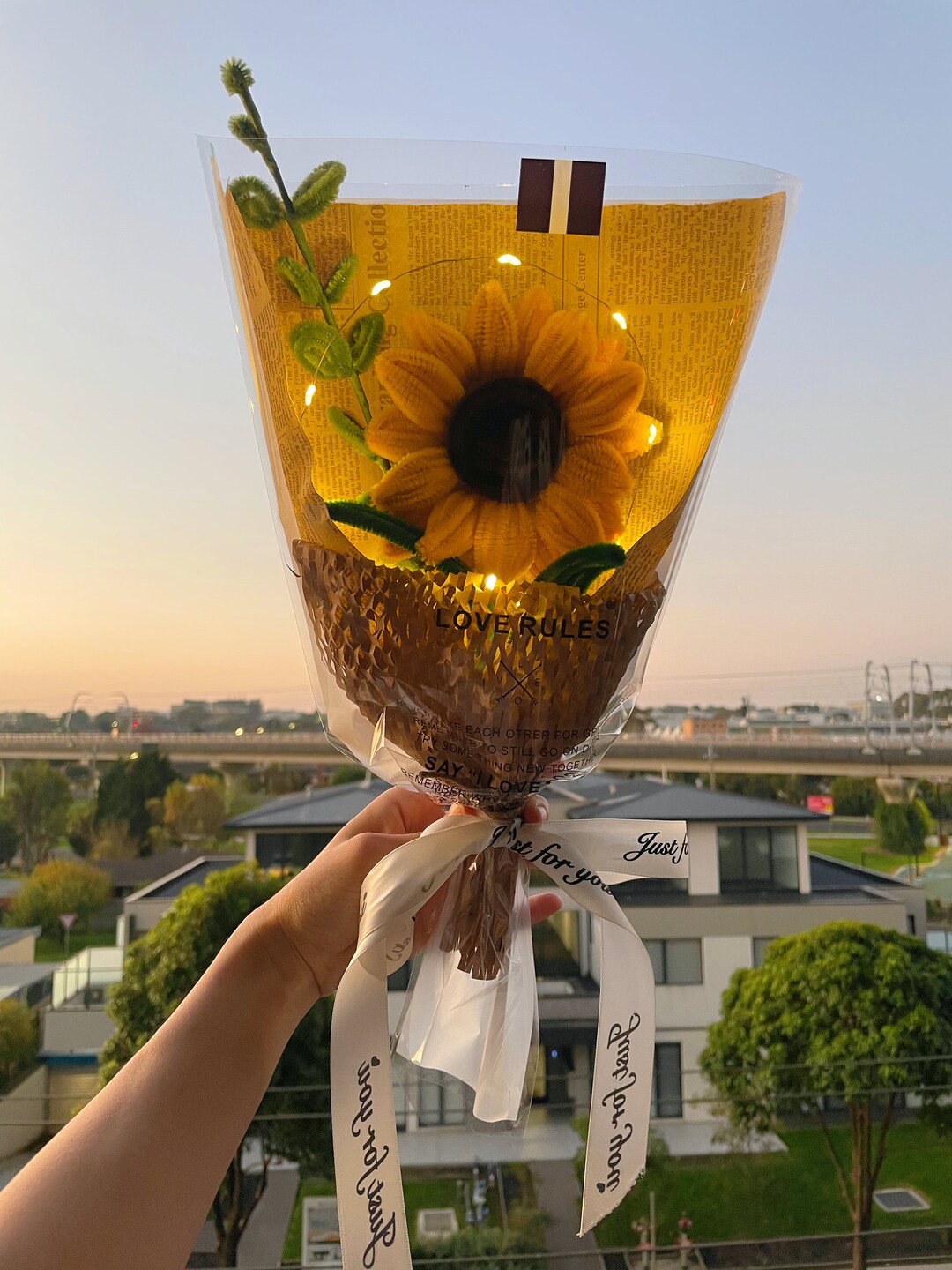 Pipe Cleaners DIY Kit for 2 Sunflowers Boutique Graduation Etsy UK