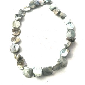 Shiny Shell  Necklace