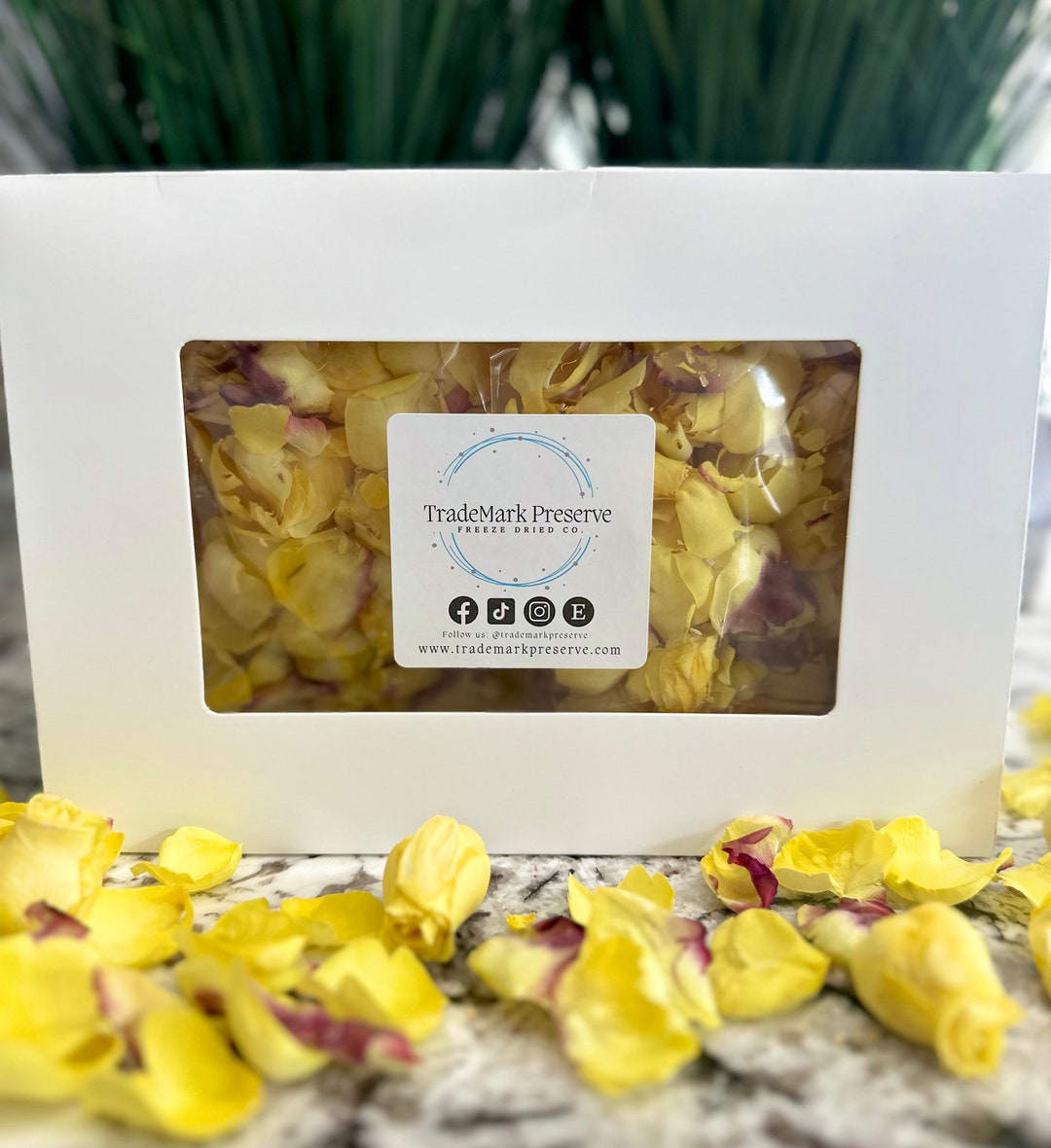Freeze Dried Rose Pedals Preserved Roses Biodegradable Etsy
