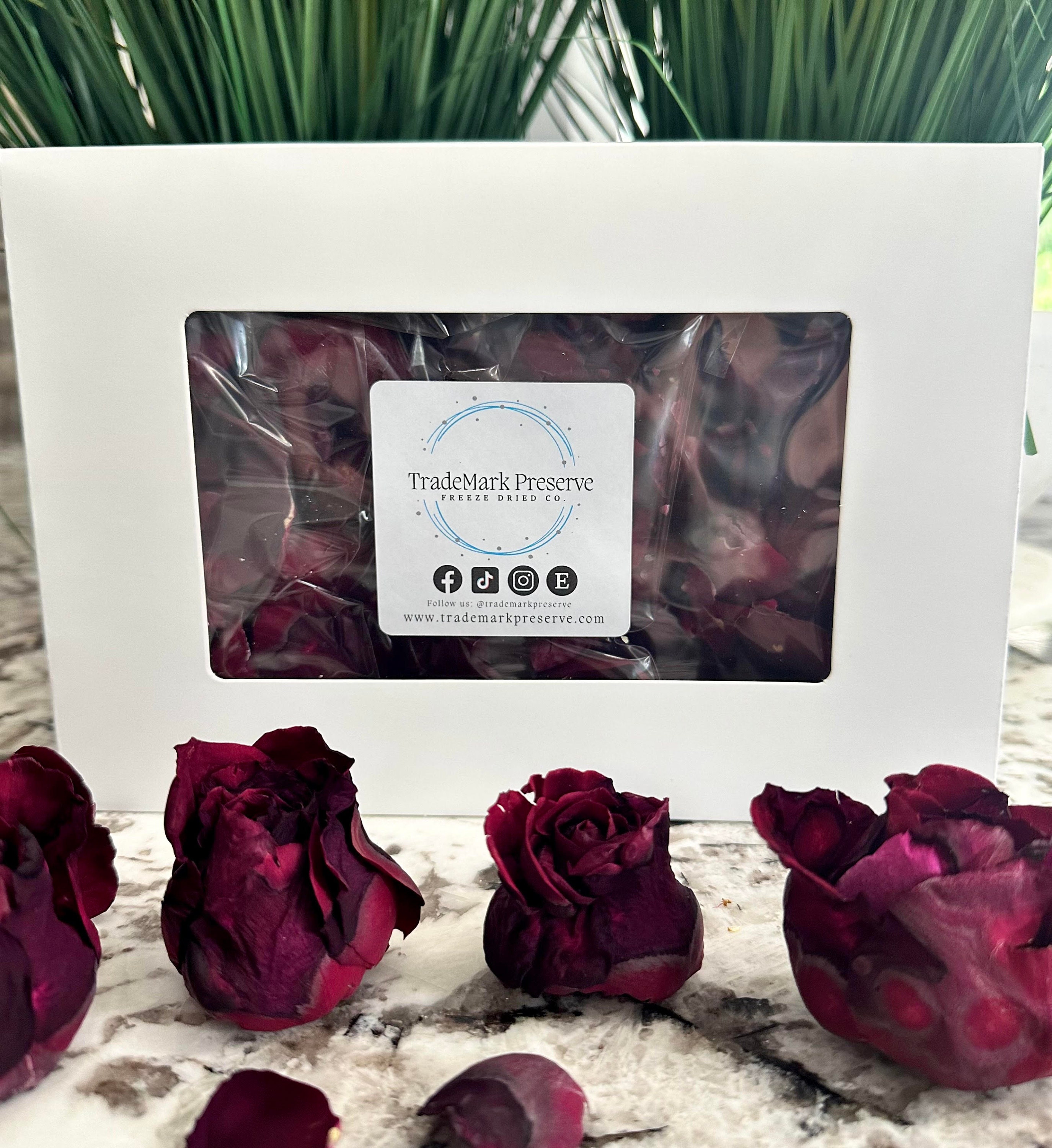 Freeze Dried Rose Petals, Ivory, 10 Cups of REAL Rose Petals for