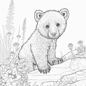 Baby Bear Coloring Picture