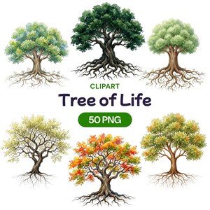 May include: Watercolor clipart set featuring six different trees with detailed roots and foliage. The trees display various colors of green, yellow, and orange. Text reads "Tree of Life" and "50 PNG".
