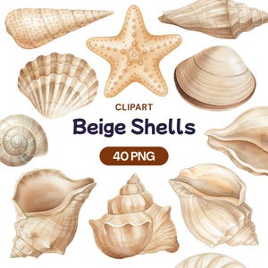 May include: Watercolor clipart featuring various beige seashells and a starfish. The image includes a variety of shell shapes and sizes, with the text "Beige Shells" and "40 PNG". The shells are in shades of beige and tan.