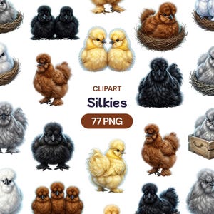 Peut inclure: Collection de cliparts numériques représentant des poulets soie de différentes couleurs, dont noir, marron, jaune et gris. Certains poulets sont dans des nids ou des boîtes en bois. Le texte "CLIPART Silkie 77 PNG" est inclus.