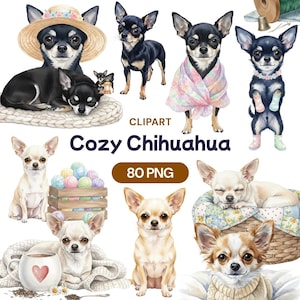 Może przedstawiać: Akwarelowa grafika clipart przedstawiająca różne psy rasy Chihuahua w przytulnych sceneriach. Obraz zawiera psy z akcesoriami oraz tekst "Cozy Chihuahua" i "80 PNG".