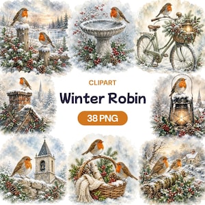 Op de afbeelding: Een digitale collectie van Winter Robin clipart met 38 PNG-bestanden. De afbeeldingen tonen roodborstjes in besneeuwde landschappen met dennentakken, rode bessen, dennenappels, een vogelbad, een fiets, een lantaarn, een stenen schoorsteen en een gevlochten mand.