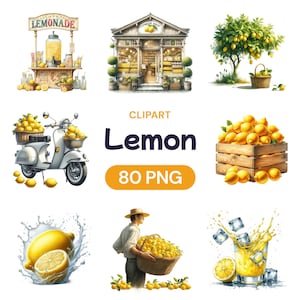 Zitrone Aquarell Clipart, süßer Obstkorb, fruchtige Sommerdesserts, transparentes PNG-Grafikpaket, Ernte für kommerzielle Nutzung