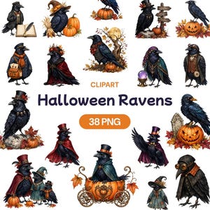 May include: A collection of digital clipart featuring black ravens in various Halloween-themed outfits and settings, including pumpkins, top hats, capes, and autumn leaves. The text reads CLIPART Halloween Ravens 38 PNG.
