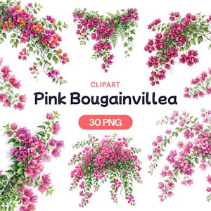 May include: A collection of pink bougainvillea clipart images. The images feature vibrant pink flowers with green leaves and stems. The text "CLPART Pink Bougainvillea" and "30 PNG" are also included.
