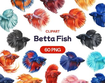 Imágenes prediseñadas de peces betta en acuarela, pez luchador siamés PNG (descarga digital, 60 imágenes)
