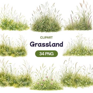 Op de afbeelding: Een verzameling van acht aquarelillustraties van diverse stukken groen gras, wilde bloemen en hoge stengels. De tekst "CLIPART Grassland 34 PNG" staat in het midden van de afbeelding in donkergroene en zwarte letters.