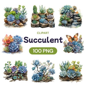Niedliche Sukkulenten Clipart, Aquarell Kaktus Illustration, Transparentes PNG Bündel Kakteen, Wüsten Sedum Pflanzen, Lizenz für kommerzielle Nutzung