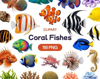 Tropical Fish Clipart, Coral Reef PNG, Ocean Creature Graphic, Marine Life Art, Under the Sea Decor, Vibrant Aquarium Animal