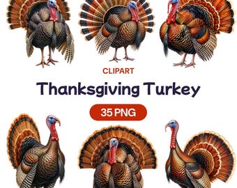Thanksgiving Turkey Clipart Bundle, Autumn Bird PNG Graphics