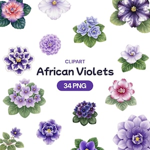 May include: A collection of watercolor African violet clipart in various shades of purple, pink, and white. The image includes individual flower heads and clusters, with green leaves. Text reads "CLPART African Violets 34 PNG".