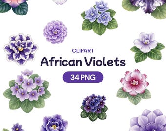 African Violet Clipart, Purple Flower PNG, Indoor Houseplant Bundle, Tanzania Watercolor Floral Art, Kenya Garden Decor