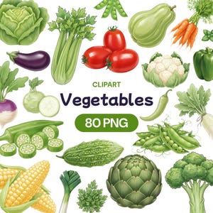 May include: A collection of various vegetables, including tomatoes, carrots, eggplant, and cabbage. The image includes the text "CLIPART Vegetables 80 PNG". The vegetables are illustrated with a watercolor style.