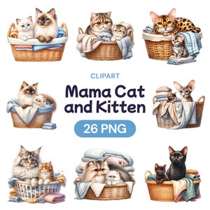 Mamãe Gata e Gatinho Clipart, Lindo Pacote Digital PNG Aquarela Dia das Mães, Cesta de Roupa Suja Gatinho, Presente para Ela, Licença de Uso Comercial