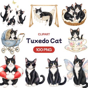 Può includere: Una collezione di illustrazioni ad acquerello raffiguranti gatti tuxedo bianchi e neri in varie pose, tra cui seduti in un'amaca in macramè, un cesto di vimini, una carrozzina vintage e una tazza da tè floreale, con il testo CLIPART Tuxedo Cat 100 PNG.