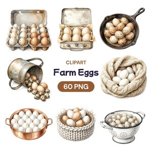 Farm Eggs Clipart, Watercolor Poultry PNG, Rustic Kitchen Graphic, Country Breakfast Art, Organic Hen Harvest