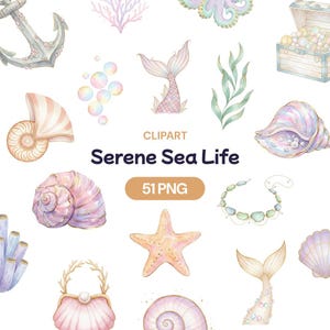Serene Sea Life Clipart, Mermaid Tail PNG, Watercolor Ocean Shells Pearl Bundle