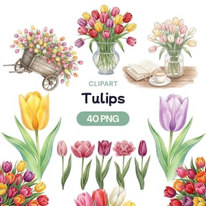 Può includere: Clipart ad acquerello con tulipani colorati in varie composizioni. Include bouquet in vasi, un carretto di legno pieno di fiori e illustrazioni di tulipani singoli. È presente anche il testo "Tulips" e "40 PNG".