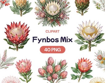 Fynbos Mix Clipart, Watercolor Protea Flora, Safari Wedding Graphic (40 PNG)