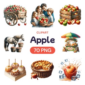 Clipart aquarelle pomme, jolie corbeille de fruits, desserts pour tarte de l'été, lot de graphiques PNG transparents, récolte fermière, licence d'utilisation commerciale