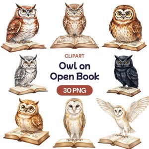 May include: Watercolor clipart featuring various owls perched on open books. The owls are depicted in different colors and poses, some wearing glasses. The text "Owl on Open Book" and "30 PNG" are also present.