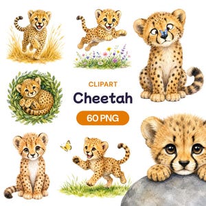 Op de afbeelding: Een verzameling aquarelillustraties van jonge cheeta's in diverse houdingen, waaronder rennend in het gras, zittend met een blauwe vlinder op de neus en rustend in een groene bladerkrans. De tekst luidt CLIPART Cheetah 60 PNG.