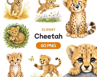 Watercolor Cheetah Clipart, Baby Animal PNG, Safari Nursery Graphics, Wild Feline Illustrations